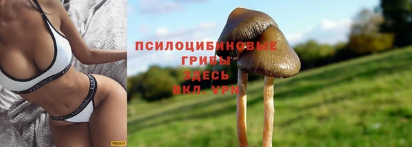 молекула духа Красноперекопск