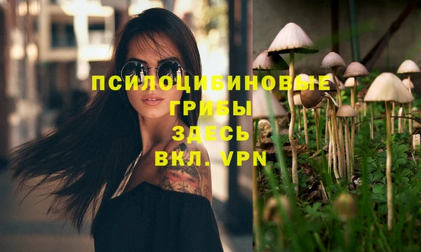 молекула духа Красноперекопск