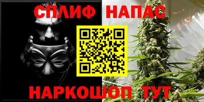 спиды Аргун