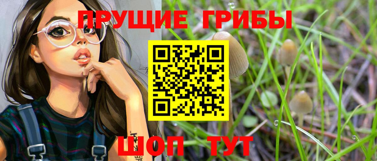 Ачинск  Галлюциногенные грибы GOLDEN TEACHER  Вход с VPN 
