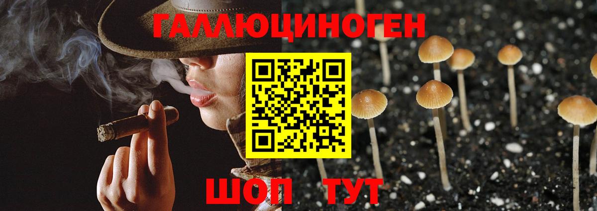 Псилоцибиновые грибы Psilocybine cubensis  Псилоцибиновые грибы Magic Shrooms  Ачинск 