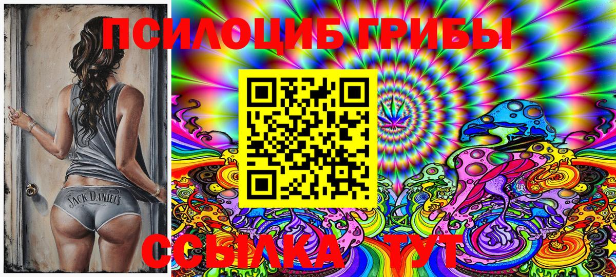 Псилоцибиновые грибы GOLDEN TEACHER Ачинск